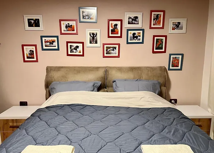 In Skanderbeg Square - Center 1 公寓 地拉那